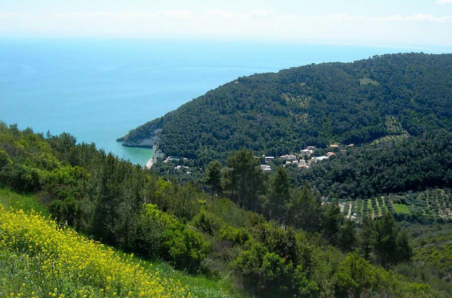 Villa Zagare Mattinata Exteriér fotografie